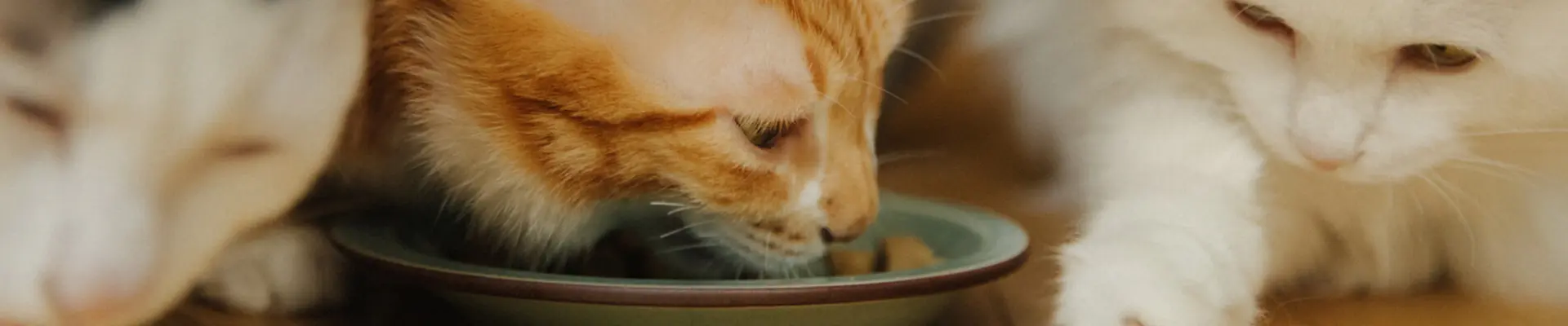 man and women products