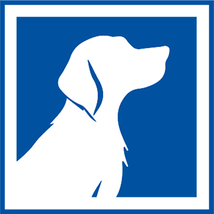 Canine