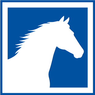 Equine