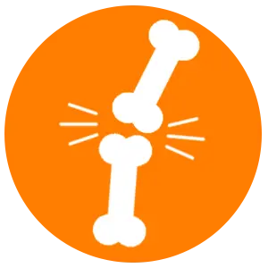 Support joints, cartilage, connective tissue, and muscular function for any size dogs