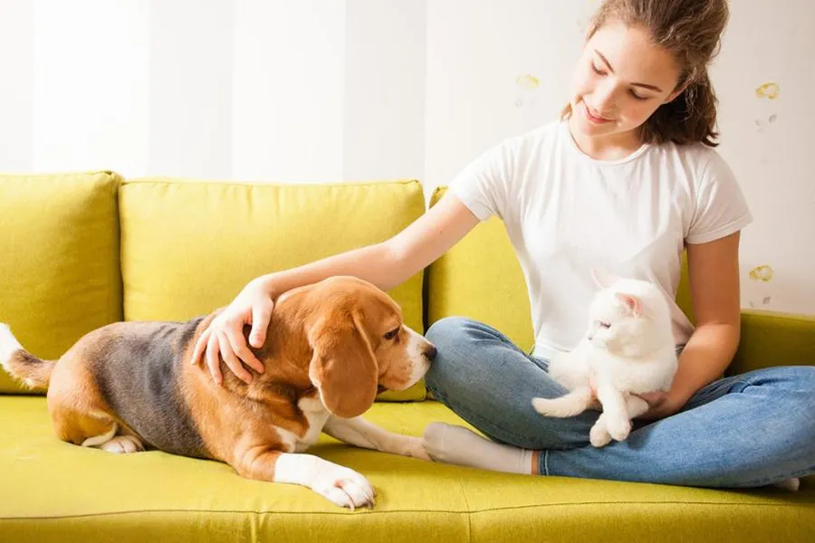 Pet Companionship for Different Groups: The Unique Bonds Between Solitary Individuals, the Elderly, Children and Pets